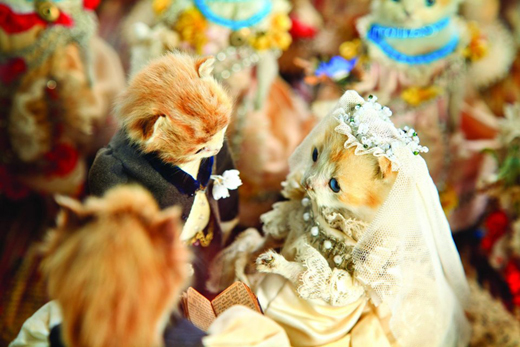 cat Wedding 